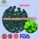 Organic Anti-Radiation OEM Green Spirulina 250mg Tablets